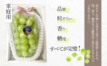＜糖度18度以上＞岡山県産 シャインマスカット 1.2kg以上 2房 家庭用＜2024年9月以降発送＞