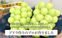 ぶどう 2025年 先行予約 岡山県産 高級 シャインマスカット 700g以上 1房 贈答品＜9月以降発送＞