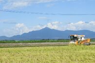 令和5年産お米マイスターが育てた新潟県認証特別栽培米「新之助」上越頸城産 10kg(5kg×2)精米