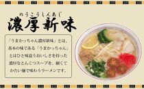 うまかっちゃん 5食＆濃厚新味 5食 計10食セット