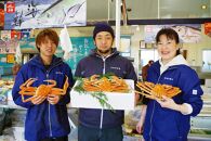 【先行予約】（訳あり）松葉ガニ（生なま）2枚【年内配送】※着日指定不可※北海道、沖縄、一部離島への配送不可【松葉がに&nbsp;松葉蟹&nbsp;ズワイガニ&nbsp;蟹&nbsp;カニ&nbsp;かに&nbsp;国産&nbsp;人気&nbsp;おすすめ&nbsp;鳥取県&nbsp;琴浦町&nbsp;送料無料】