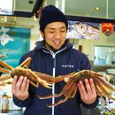【先行予約】（訳あり）松葉ガニ（生なま）2枚【年内配送】※着日指定不可※北海道、沖縄、一部離島への配送不可【松葉がに&nbsp;松葉蟹&nbsp;ズワイガニ&nbsp;蟹&nbsp;カニ&nbsp;かに&nbsp;国産&nbsp;人気&nbsp;おすすめ&nbsp;鳥取県&nbsp;琴浦町&nbsp;送料無料】