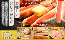 松葉ガニ&nbsp;先行予約&nbsp;ボイル&nbsp;2枚&nbsp;年内配送&nbsp;着日指定不可&nbsp;北海道、沖縄、一部離島への配送不可&nbsp;松葉がに&nbsp;松葉蟹&nbsp;ズワイガニ&nbsp;蟹&nbsp;カニ&nbsp;かに&nbsp;国産&nbsp;人気&nbsp;おすすめ&nbsp;鳥取県&nbsp;琴浦町&nbsp;送料無料
