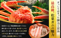 【先行予約】松葉ガニ（生なま）2枚【年内配送】※着日指定不可※北海道、沖縄、一部離島への配送不可【松葉がに&nbsp;松葉蟹&nbsp;蟹&nbsp;カニ&nbsp;かに&nbsp;国産&nbsp;人気&nbsp;おすすめ&nbsp;鳥取県&nbsp;琴浦町&nbsp;送料無料】