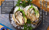 【 先行予約 2025年6月以降発送 】 天然 ブランド 岩ガキ 夏輝 (なつき) 生食用 4 ～ 6 個　※北海道、沖縄、一部離島への配送不可