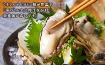 【 先行予約 2025年6月以降発送 】 天然 ブランド 岩ガキ 夏輝 (なつき) 生食用 4 ～ 6 個　※北海道、沖縄、一部離島への配送不可