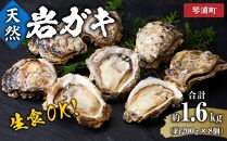 【 先行予約 2025年6月以降発送 】 天然 岩ガキ 約 200 g × 8 個　※北海道、沖縄、一部離島への配送不可