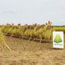 NIPPA米&nbsp;有機つきあかり10kg&nbsp;玄米｜米&nbsp;お米&nbsp;有機米&nbsp;つきあかり&nbsp;無農薬&nbsp;産地直送&nbsp;産直