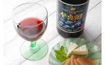 酒 ワイン ブルーベリーワイン 紫泉郷（しせんきょう） 2本 （ 720ml× 2 ）