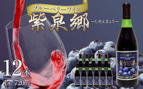酒&nbsp;ワイン&nbsp;ブルーベリーワイン&nbsp;紫泉郷（しせんきょう）&nbsp;12本&nbsp;（&nbsp;720ml&nbsp;×&nbsp;12&nbsp;)【ブルーベリー&nbsp;パープル&nbsp;セット&nbsp;酒&nbsp;お酒&nbsp;晩酌&nbsp;人気&nbsp;おすすめ&nbsp;鳥取県&nbsp;琴浦町&nbsp;送料無料】