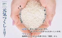 玄米(特別栽培農産物)元気つくし 2kg×5袋 (計10kg)