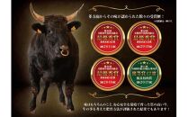 牛肉 黒毛和牛 赤身ステーキ 500g ( 250g × 2枚 )