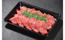 鳥取和牛 焼肉用 赤身肉（モモ、ウデ） 計300g KT010-013