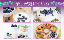 【先行予約&nbsp;2027年6月下旬以降発送】琴浦町産生ブルーベリー１kg（250g×4パック）【ブルーベリー&nbsp;果物&nbsp;くだもの&nbsp;フルーツ&nbsp;アイス&nbsp;ヨーグルト&nbsp;ケーキ&nbsp;新鮮&nbsp;国産&nbsp;人気&nbsp;おすすめ&nbsp;鳥取県&nbsp;琴浦町&nbsp;送料無料】