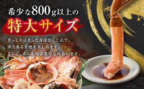 【先行予約】ブランドタグ付き&nbsp;松葉ガニ（生）1枚（800g以上）【年明け配送】【松葉がに&nbsp;松葉蟹&nbsp;ズワイガニ&nbsp;蟹&nbsp;カニ&nbsp;かに&nbsp;国産&nbsp;人気&nbsp;おすすめ&nbsp;鳥取県&nbsp;琴浦町&nbsp;送料無料】