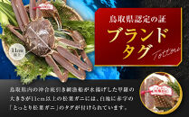 【先行予約】ブランドタグ付き&nbsp;松葉ガニ（生）1枚（800g以上）【年明け配送】【松葉がに&nbsp;松葉蟹&nbsp;ズワイガニ&nbsp;蟹&nbsp;カニ&nbsp;かに&nbsp;国産&nbsp;人気&nbsp;おすすめ&nbsp;鳥取県&nbsp;琴浦町&nbsp;送料無料】