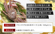 【先行予約】ブランドタグ付き&nbsp;松葉ガニ（生）1枚（800g以上）【年明け配送】【松葉がに&nbsp;松葉蟹&nbsp;ズワイガニ&nbsp;蟹&nbsp;カニ&nbsp;かに&nbsp;国産&nbsp;人気&nbsp;おすすめ&nbsp;鳥取県&nbsp;琴浦町&nbsp;送料無料】