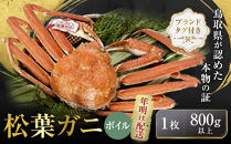 【先行予約】ブランドタグ付き&nbsp;松葉ガニ（ボイル）1枚（800g以上）【年明け配送】【松葉がに&nbsp;松葉蟹&nbsp;ズワイガニ&nbsp;蟹&nbsp;カニ&nbsp;かに&nbsp;国産&nbsp;人気&nbsp;おすすめ&nbsp;鳥取県&nbsp;琴浦町&nbsp;送料無料】