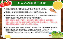 ＜2026年2月より発送＞いちご&nbsp;鳥取県オリジナル品種「&nbsp;とっておき&nbsp;」1kg&nbsp;(&nbsp;250ｇ×&nbsp;４&nbsp;パック&nbsp;)【果物&nbsp;くだもの&nbsp;イチゴ&nbsp;苺&nbsp;人気&nbsp;おすすめ&nbsp;鳥取県&nbsp;琴浦町&nbsp;送料無料】
