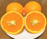 清見オレンジ約5kg （15個前後）L~3Lサイズ【地元印南町産】