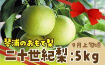 数量限定 鳥取県産梨 二十世紀梨 5kg（12～14玉）