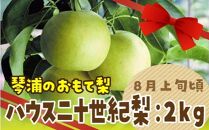 数量限定 鳥取県産梨 ハウス二十世紀梨 2kg（5～6玉）