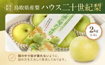 【先行予約】数量限定&nbsp;鳥取県産梨&nbsp;ハウス二十世紀梨&nbsp;2kg（5～6玉）