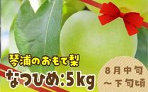 数量限定 鳥取県産梨 なつひめ 5kg（12～14玉）