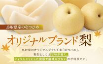 数量限定&nbsp;鳥取県産梨&nbsp;なつひめ&nbsp;5kg（12～14玉）【国産&nbsp;なつひめ&nbsp;2026年&nbsp;令和8年&nbsp;新鮮&nbsp;旬&nbsp;フルーツ&nbsp;果物&nbsp;くだもの&nbsp;人気&nbsp;おすすめ&nbsp;鳥取県&nbsp;琴浦町&nbsp;送料無料】