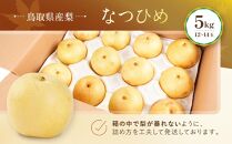 数量限定&nbsp;鳥取県産梨&nbsp;なつひめ&nbsp;5kg（12～14玉）【国産&nbsp;なつひめ&nbsp;2026年&nbsp;令和8年&nbsp;新鮮&nbsp;旬&nbsp;フルーツ&nbsp;果物&nbsp;くだもの&nbsp;人気&nbsp;おすすめ&nbsp;鳥取県&nbsp;琴浦町&nbsp;送料無料】