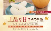 数量限定&nbsp;鳥取県産梨&nbsp;秋栄（あきばえ）&nbsp;5kg（12～16玉）【国産&nbsp;秋栄&nbsp;2026年&nbsp;令和8年&nbsp;新鮮&nbsp;旬&nbsp;フルーツ&nbsp;果物&nbsp;くだもの&nbsp;人気&nbsp;おすすめ&nbsp;鳥取県&nbsp;琴浦町&nbsp;送料無料】
