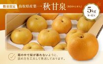 数量限定&nbsp;鳥取県産梨&nbsp;秋甘泉（あきかんせん）&nbsp;5kg（8～12玉）【国産&nbsp;秋甘泉&nbsp;2026年&nbsp;令和8年&nbsp;新鮮&nbsp;旬&nbsp;フルーツ&nbsp;果物&nbsp;くだもの&nbsp;人気&nbsp;おすすめ&nbsp;鳥取県&nbsp;琴浦町&nbsp;送料無料】