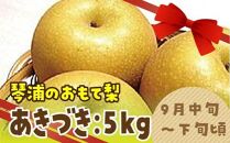 数量限定 鳥取県産梨 あきづき 5kg（10～12玉）