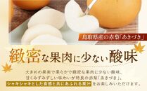 数量限定&nbsp;鳥取県産梨&nbsp;あきづき&nbsp;5kg（10～12玉）【国産&nbsp;あきづき&nbsp;2026年&nbsp;令和8年&nbsp;新鮮&nbsp;旬&nbsp;フルーツ&nbsp;果物&nbsp;くだもの&nbsp;人気&nbsp;おすすめ&nbsp;鳥取県&nbsp;琴浦町&nbsp;送料無料】