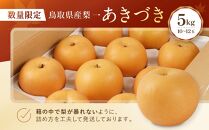 数量限定&nbsp;鳥取県産梨&nbsp;あきづき&nbsp;5kg（10～12玉）【国産&nbsp;あきづき&nbsp;2026年&nbsp;令和8年&nbsp;新鮮&nbsp;旬&nbsp;フルーツ&nbsp;果物&nbsp;くだもの&nbsp;人気&nbsp;おすすめ&nbsp;鳥取県&nbsp;琴浦町&nbsp;送料無料】
