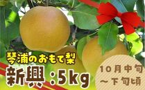 数量限定 鳥取県産梨 新興（しんこう） 5kg（10～12玉）