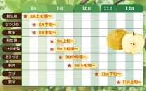 【先行予約】数量限定 鳥取県産梨 新興（しんこう） 5kg（10～12玉）