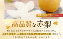 【先行予約】数量限定&nbsp;鳥取県産梨&nbsp;王秋（おうしゅう）&nbsp;3.5kg（5～6玉）