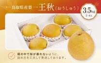 【先行予約】数量限定&nbsp;鳥取県産梨&nbsp;王秋（おうしゅう）&nbsp;3.5kg（5～6玉）