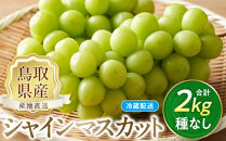 【先行予約】数量限定&nbsp;鳥取県産ぶどう&nbsp;シャインマスカット&nbsp;種なし&nbsp;2kg&nbsp;国産&nbsp;葡萄&nbsp;ブドウ&nbsp;シャインマスカット&nbsp;シャインマスカット先行予約&nbsp;国産シャインマスカット&nbsp;旬&nbsp;シャインマスカット2kg&nbsp;種なしシャインマスカット&nbsp;鳥取県産シャインマスカット&nbsp;果物&nbsp;くだもの&nbsp;フルーツ&nbsp;限定&nbsp;人気&nbsp;おすすめ&nbsp;鳥取県&nbsp;琴浦町&nbsp;送料無料