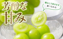 【先行予約】数量限定&nbsp;鳥取県産ぶどう&nbsp;シャインマスカット&nbsp;種なし&nbsp;2kg&nbsp;国産&nbsp;葡萄&nbsp;ブドウ&nbsp;シャインマスカット&nbsp;シャインマスカット先行予約&nbsp;国産シャインマスカット&nbsp;旬&nbsp;シャインマスカット2kg&nbsp;種なしシャインマスカット&nbsp;鳥取県産シャインマスカット&nbsp;果物&nbsp;くだもの&nbsp;フルーツ&nbsp;限定&nbsp;人気&nbsp;おすすめ&nbsp;鳥取県&nbsp;琴浦町&nbsp;送料無料