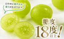 【先行予約】数量限定&nbsp;鳥取県産ぶどう&nbsp;シャインマスカット&nbsp;種なし&nbsp;2kg&nbsp;国産&nbsp;葡萄&nbsp;ブドウ&nbsp;シャインマスカット&nbsp;シャインマスカット先行予約&nbsp;国産シャインマスカット&nbsp;旬&nbsp;シャインマスカット2kg&nbsp;種なしシャインマスカット&nbsp;鳥取県産シャインマスカット&nbsp;果物&nbsp;くだもの&nbsp;フルーツ&nbsp;限定&nbsp;人気&nbsp;おすすめ&nbsp;鳥取県&nbsp;琴浦町&nbsp;送料無料