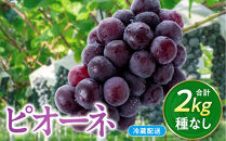 数量限定&nbsp;ピオーネ&nbsp;種なし&nbsp;2kg&nbsp;国産&nbsp;葡萄&nbsp;ブドウ&nbsp;旬&nbsp;ピオーネ&nbsp;種なしブドウ&nbsp;国産ブドウ&nbsp;種なしぶどう&nbsp;ブドウ2kg&nbsp;ぶどう2kg&nbsp;果物&nbsp;くだもの&nbsp;フルーツ&nbsp;限定&nbsp;人気&nbsp;おすすめ&nbsp;鳥取県&nbsp;琴浦町&nbsp;送料無料