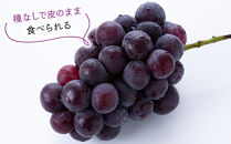 数量限定&nbsp;ピオーネ&nbsp;種なし&nbsp;2kg&nbsp;国産&nbsp;葡萄&nbsp;ブドウ&nbsp;旬&nbsp;ピオーネ&nbsp;種なしブドウ&nbsp;国産ブドウ&nbsp;種なしぶどう&nbsp;ブドウ2kg&nbsp;ぶどう2kg&nbsp;果物&nbsp;くだもの&nbsp;フルーツ&nbsp;限定&nbsp;人気&nbsp;おすすめ&nbsp;鳥取県&nbsp;琴浦町&nbsp;送料無料