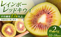 キウイフルーツ（レインボーレッド2kg）と追熟剤セット【キウイ&nbsp;フルーツ&nbsp;果物&nbsp;くだもの&nbsp;国産&nbsp;産地直送&nbsp;新鮮&nbsp;人気&nbsp;おすすめ&nbsp;鳥取県&nbsp;琴浦町&nbsp;送料無料】