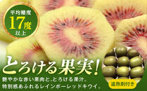 キウイフルーツ（レインボーレッド2kg）と追熟剤セット【キウイ&nbsp;フルーツ&nbsp;果物&nbsp;くだもの&nbsp;国産&nbsp;産地直送&nbsp;新鮮&nbsp;人気&nbsp;おすすめ&nbsp;鳥取県&nbsp;琴浦町&nbsp;送料無料】