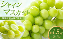 【先行予約】琴浦町産シャインマスカット2～3房セット（計約1.5kg）