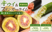 琴浦町産キウイ＆フィンガーライムセット【果物&nbsp;くだもの&nbsp;フルーツ&nbsp;新鮮&nbsp;国産&nbsp;人気&nbsp;おすすめ&nbsp;鳥取県&nbsp;琴浦町&nbsp;送料無料】
