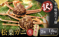 【先行予約】【訳アリ】松葉ガニ（生）2枚（計1.6kg以上）【年内配送】【訳あり&nbsp;松葉がに&nbsp;松葉蟹&nbsp;ズワイガニ&nbsp;蟹&nbsp;カニ&nbsp;かに&nbsp;国産&nbsp;人気&nbsp;おすすめ&nbsp;鳥取県&nbsp;琴浦町&nbsp;送料無料】