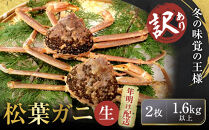 【先行予約】【訳アリ】松葉ガニ（生）2枚（計1.6kg以上）【年明け配送】【訳あり&nbsp;松葉がに&nbsp;松葉蟹&nbsp;ズワイガニ&nbsp;蟹&nbsp;カニ&nbsp;かに&nbsp;国産&nbsp;人気&nbsp;おすすめ&nbsp;鳥取県&nbsp;琴浦町&nbsp;送料無料】